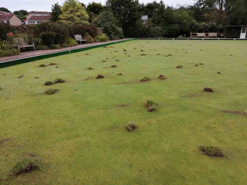 Turf thrown onto Honiton Bowling Green. Image courtesy of Honiton Neighbourhood Police Team/Twitter.