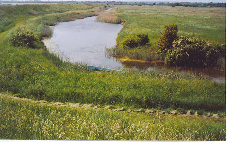 A red hill near Tollesbury (Goldhanger Past site)