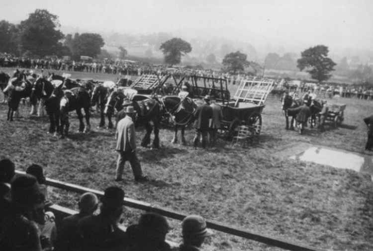 Honiton Agricultural Show in 1928