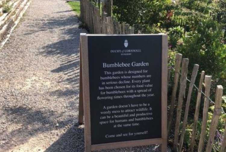 One of the gardens at the Duchy Nursery