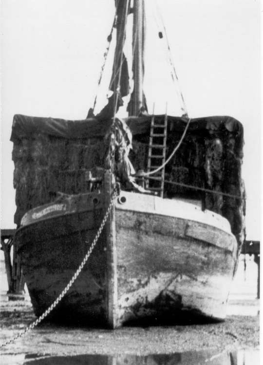 'Eva Annie' of Maldon near Canvey Bridge (Mersea Museum/Ron Green)