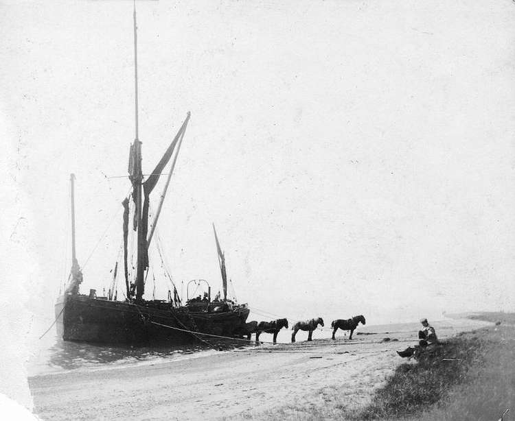 Unloading bricks at Mersea Beach (Mersea Museum/Robin Weaver)