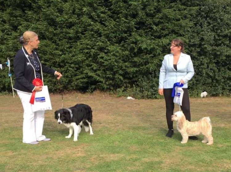 There were breed class and fun classes for dogs to enter (Credit: Essex Pawsome Dog Show)