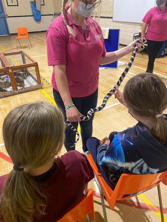 A snake at one of the animal experiences (Credit: Ormiston Rivers Academy)