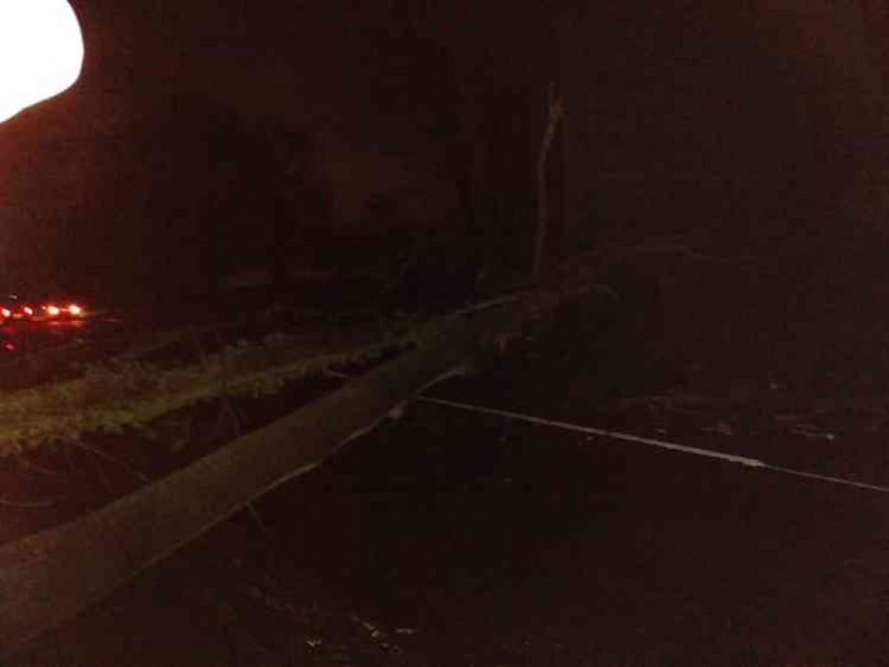 Trees came down on Measham Road in Ashby on Saturday evening (Photo: North West Leicestershire Police Facebook page)