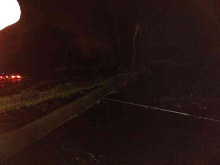 Trees came down on Measham Road in Ashby on Saturday evening (Photo: North West Leicestershire Police Facebook page)