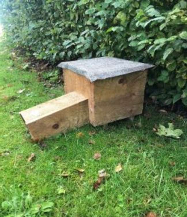 A hedgehog house