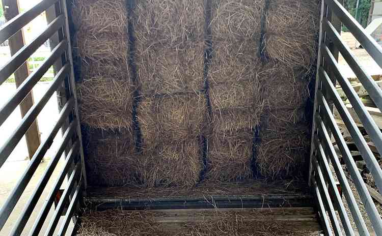 Two months' supply of hay was donated to the Zoo