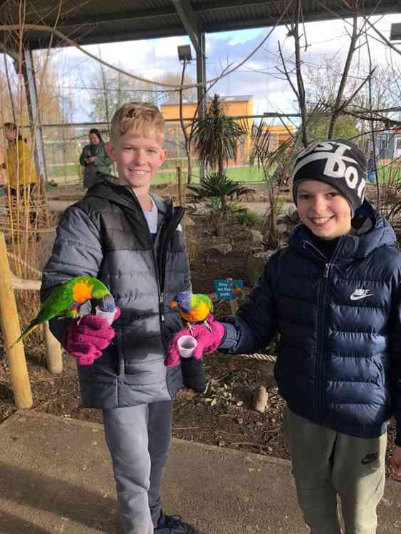 Finn and his brother Charlie at Twycross Zoo