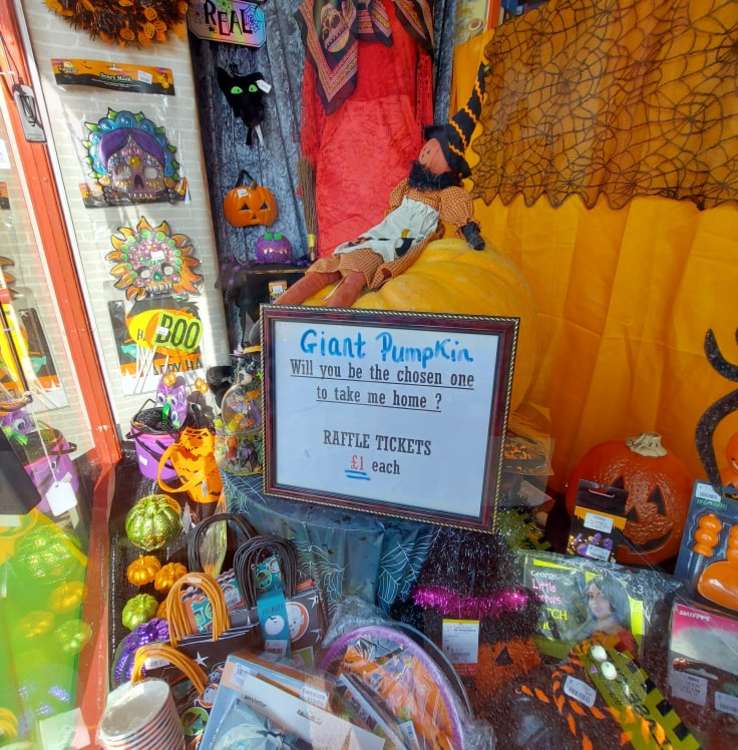 The pumpkin which has been generously donated to the Burnham-on-Crouch shop by a customer (Photo: Jade Clark)