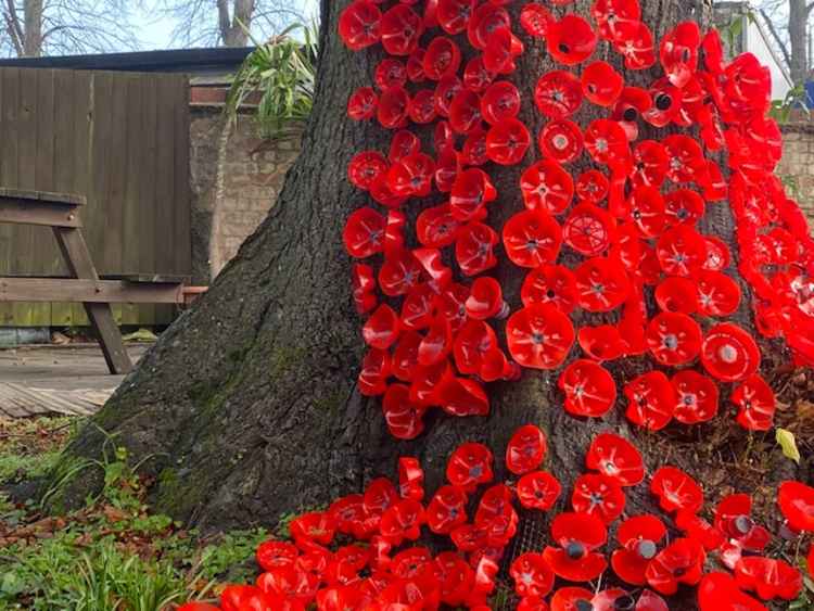 Plastic bottles were painted red for the poppy effect