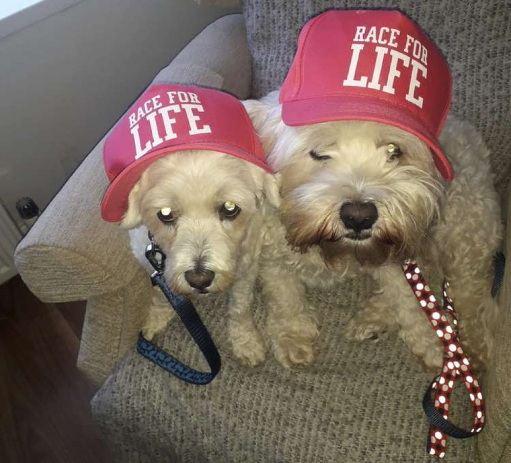 Nancy and Oscar are taking the 5K walk on again after their success last year