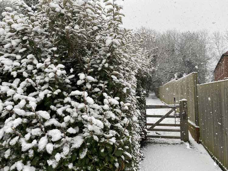 Snowfall in Ashby on Tuesday morning