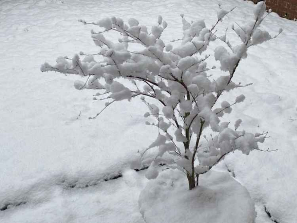 The snow looked scenic last Sunday but it left roads in a treacherous condition