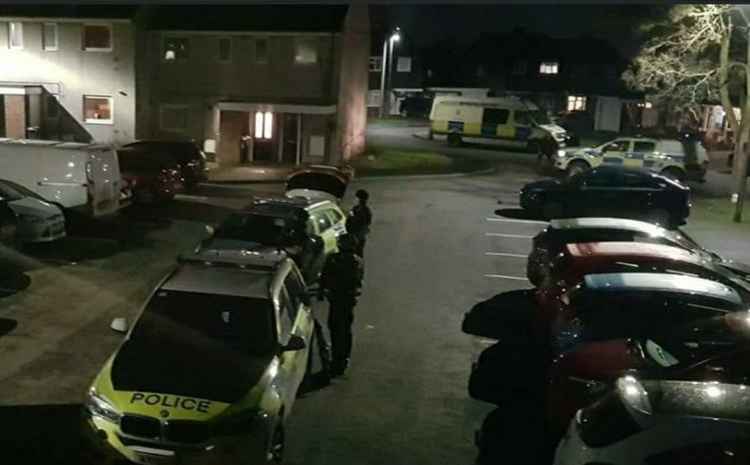 Police arrived in numbers at the cul-de-sac in Moira. Photo supplied by local resident Emma Martinez