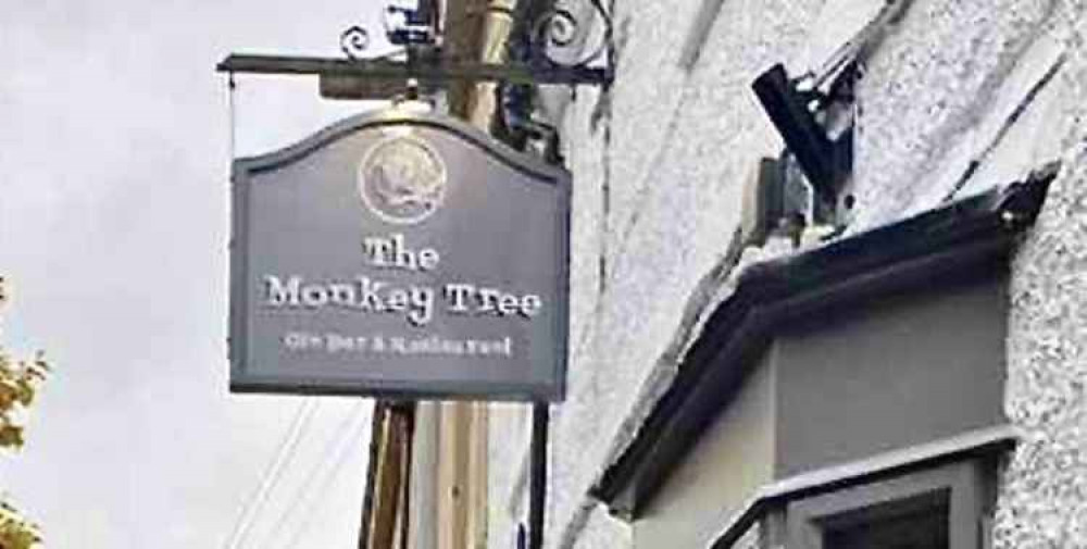 The Monkey Tree intends to re-open on Tuesday