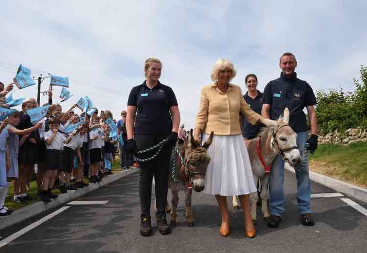 HRH Duchess of Cornwall meets donkeys called William and Harry - The Donkey Sanctuary