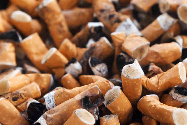 Cigarette butts can take up to 15 years to degrade.