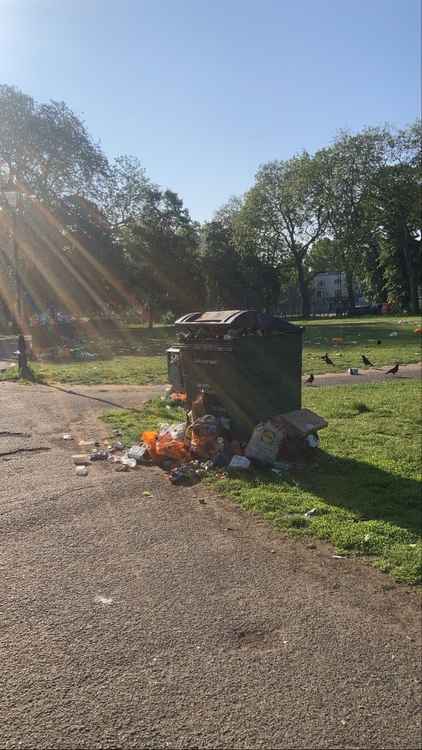 Do we need more bins on Clapham Common this summer ?