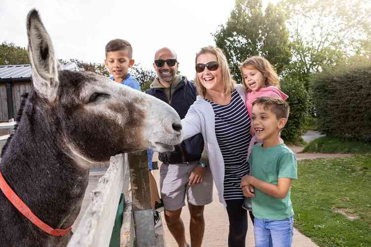 A family enjoying time at The Donkey Sanctuary.
