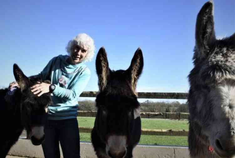 Sharon Wells at The Donkey Sanctuary in Sidmouth.