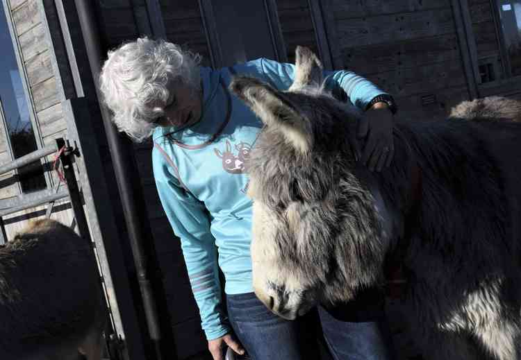 Sharon Wells at The Donkey Sanctuary in Sidmouth.