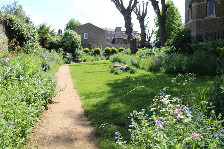 The Eden Nature Garden at St Paul's Church (Image: Issy Millett, Nub News)