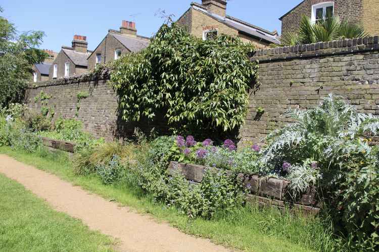 The Eden Nature Garden at St Paul's Church (Image: Issy Millett, Nub News)