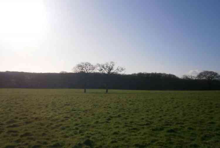 One of the fields where the solar farm will be located on.