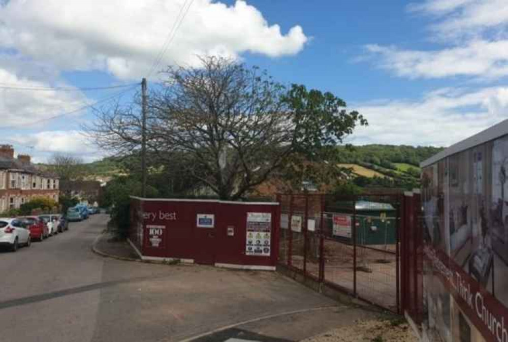 Storm Damaged Tree at the Lockyer Lodge development in Sidford. Image credit: Daniel Clark