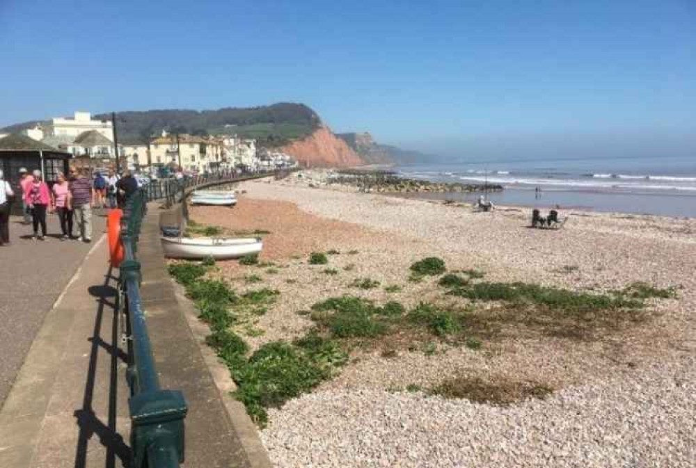 Sidmouth Seafront. Image credit: Daniel Clark