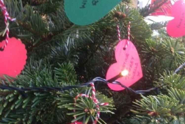 Messages of love on the Memory Tree at Potburys