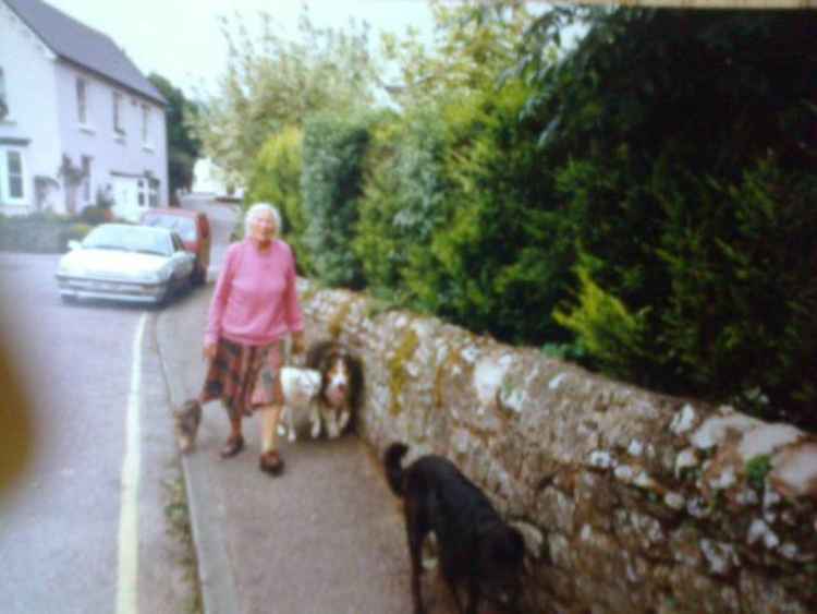 Topsy walking her dogs in Sidmouth. Picture: Richard Hindley