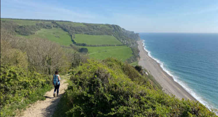 Branscombe: Branscombe Beach looking down from South West Coast Path (East Cliff)liff)