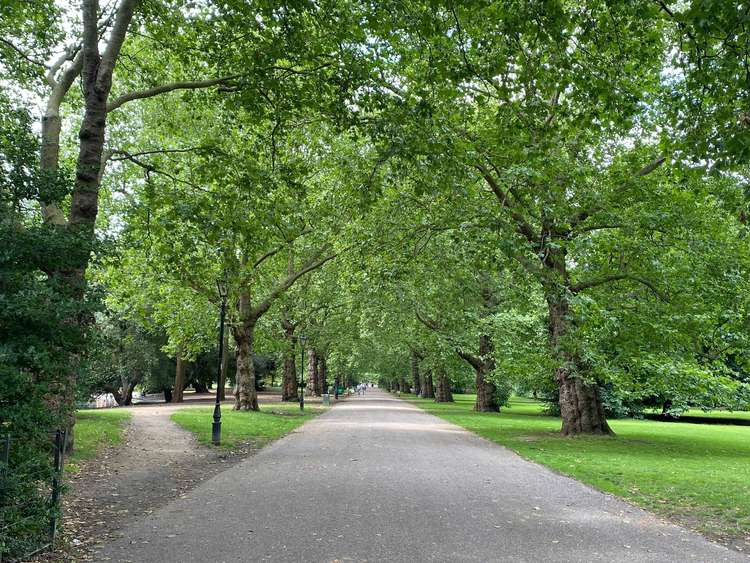 Lamp posts line the path in Battersea Park (Image: James Mayer)