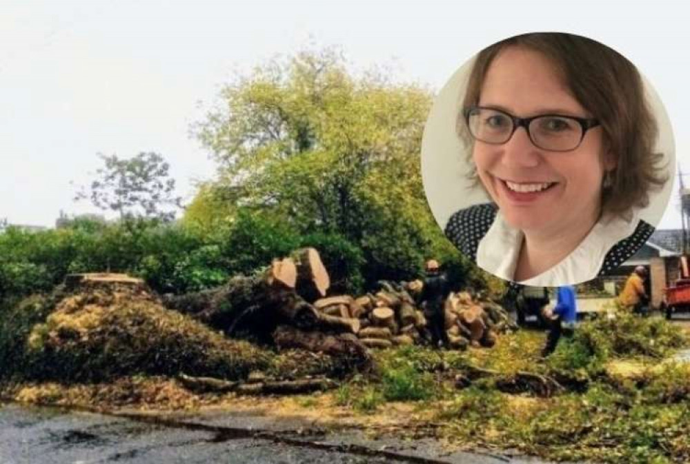 Destruction of trees at West Hill, and, inset, Cllr Jess Bailey