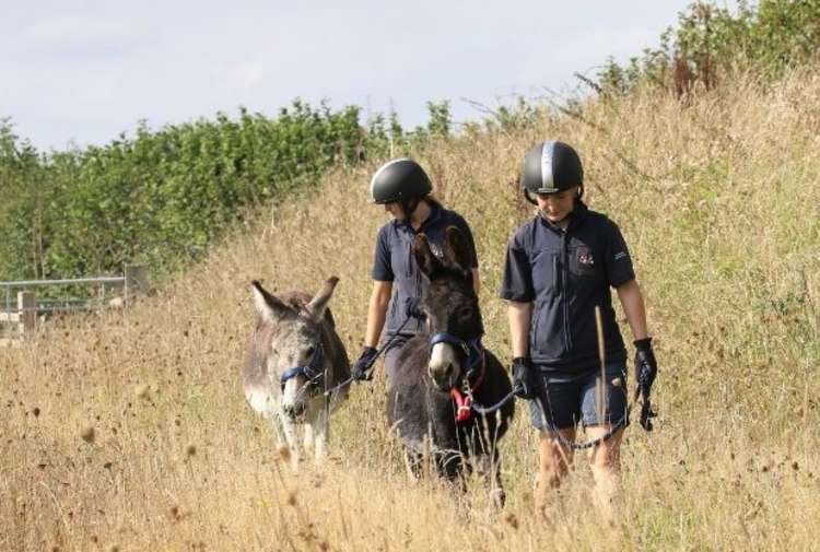 Grooms Olivia Sancey with Kelley (dark donkey) and Maya Willis with Paddy (lighter grey donkey). Picture: The Donkey Sanctuary