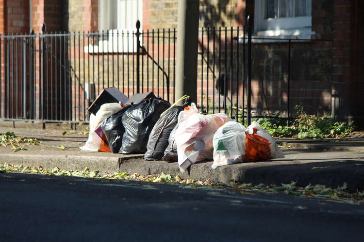 Another change is that you no longer need to put 'bulky cardboard' into recycling sacks (Image: Issy Millett, Nub News)