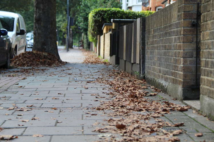 It is definitely Autumn in Clapham South (Image: Issy Millett, Nub News)