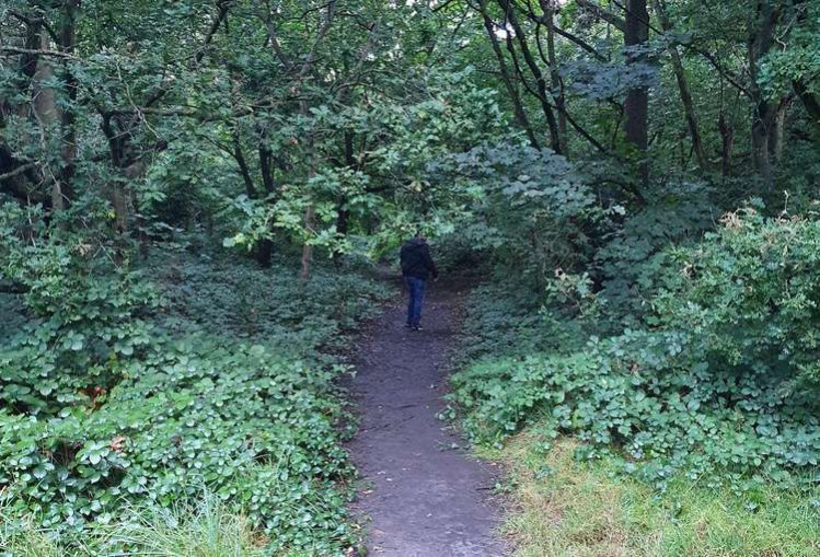A plain clothed officer patrolling the woodland area (Image: Wandsworth Common SNT)