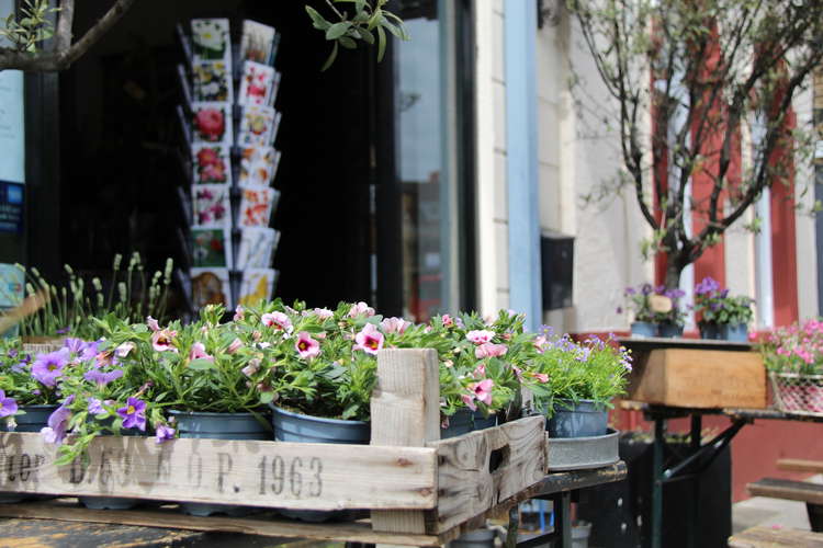 Flowers outside Birksten & Ltd in Clapham Old Town (Image: Issy Millett, Nub News)