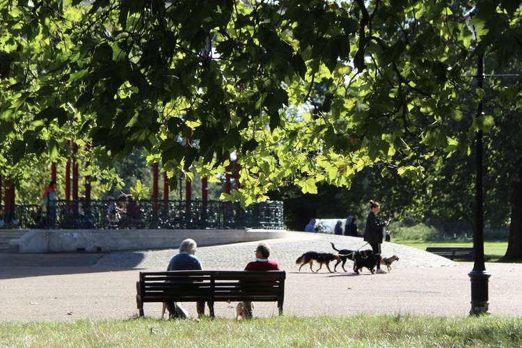 Clapham Common (Image: Issy Millett, Nub News)