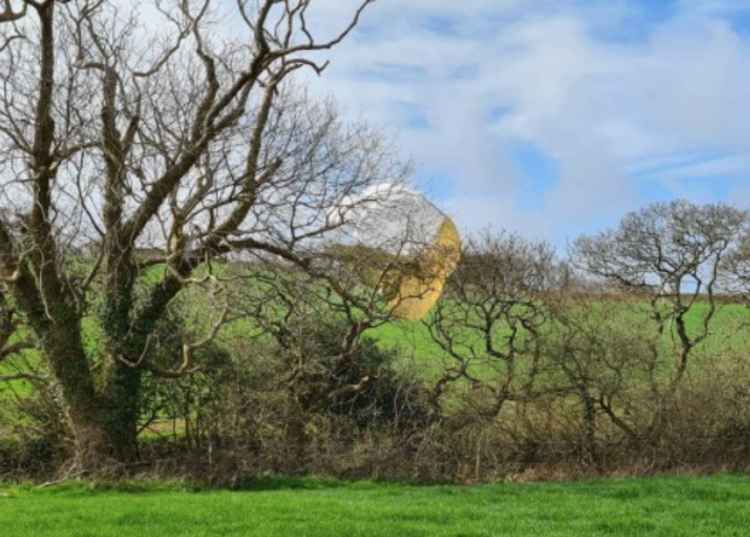 One of the parachutes stuck in a tree. Credit: Cornwall Air Ambulance.