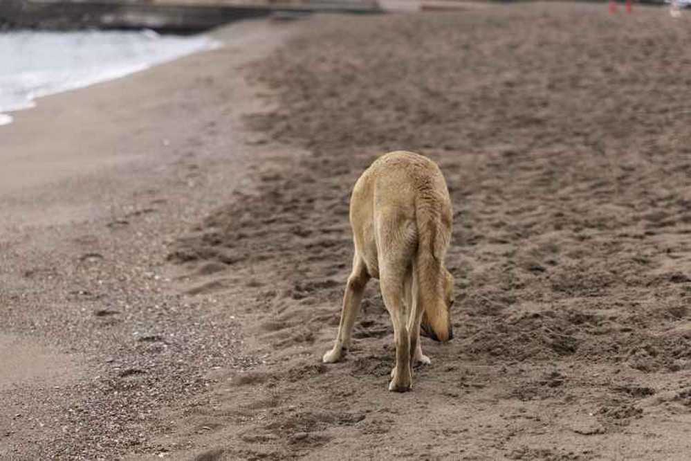 A reminder for local dog walkers that the bans have come back in.