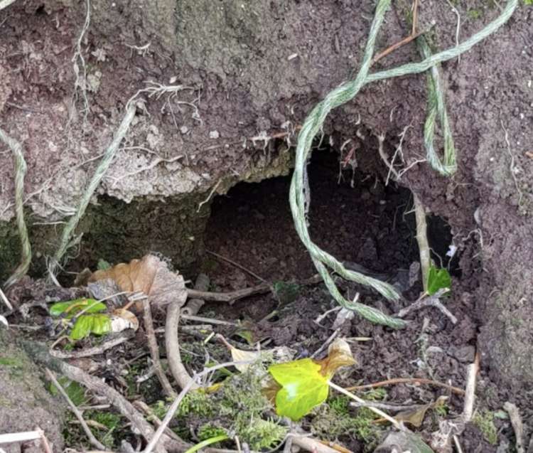 One of the badger setts, taken by Maggie Freegard