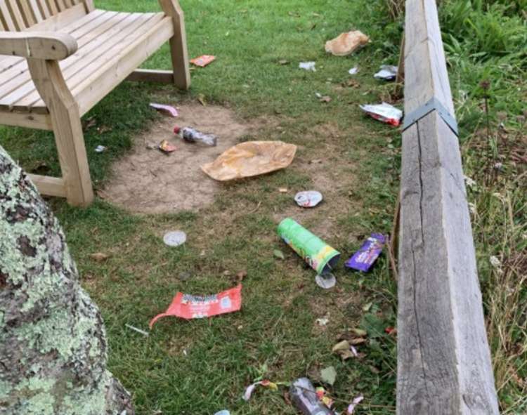 Litter in the park. Photo courtesy of Coronation Park/Facebook.