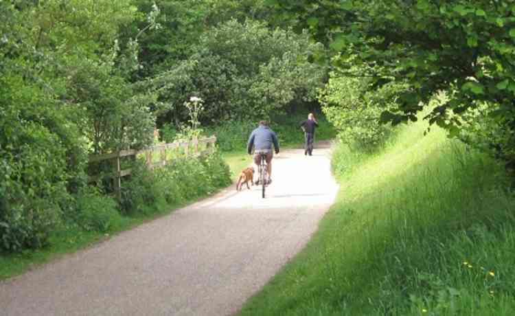 Cycling with furry friend