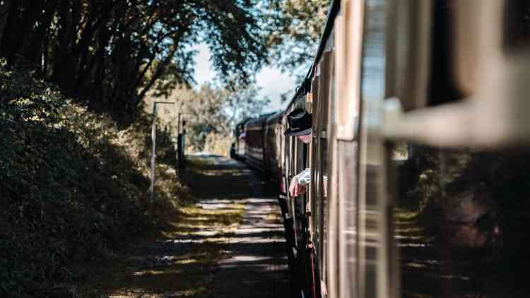 Mendip Vale (Photo: Graham Hobbs)