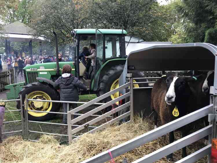 The Bath and West Farmyard is returning to the Charlie Bigham's Discovery Zone