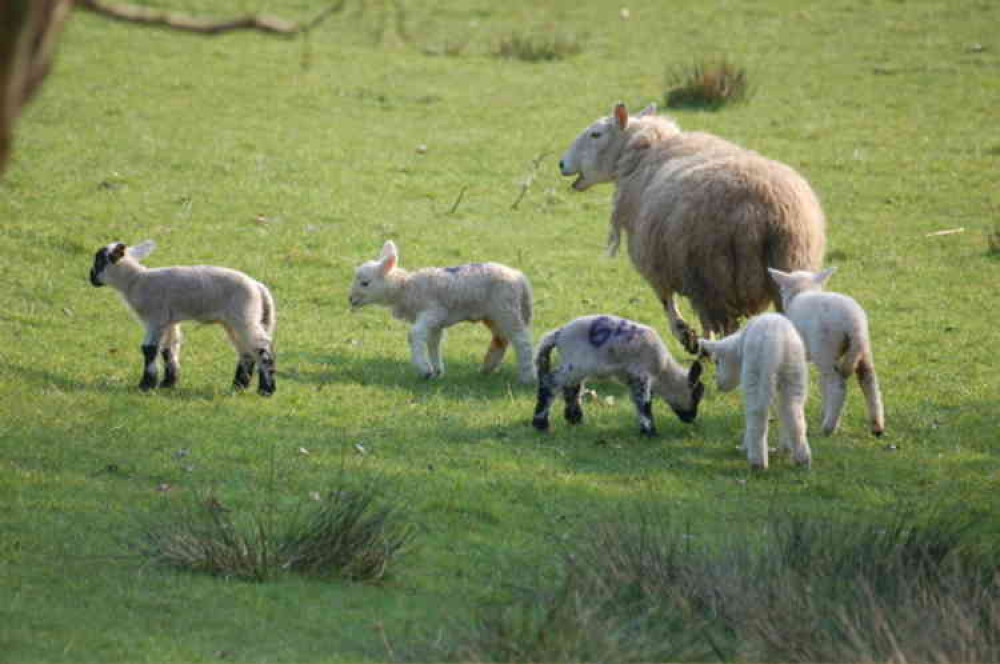 A Brexit briefing for the farming, food and drink sectors is being held (Photo: Gerry Lewis)